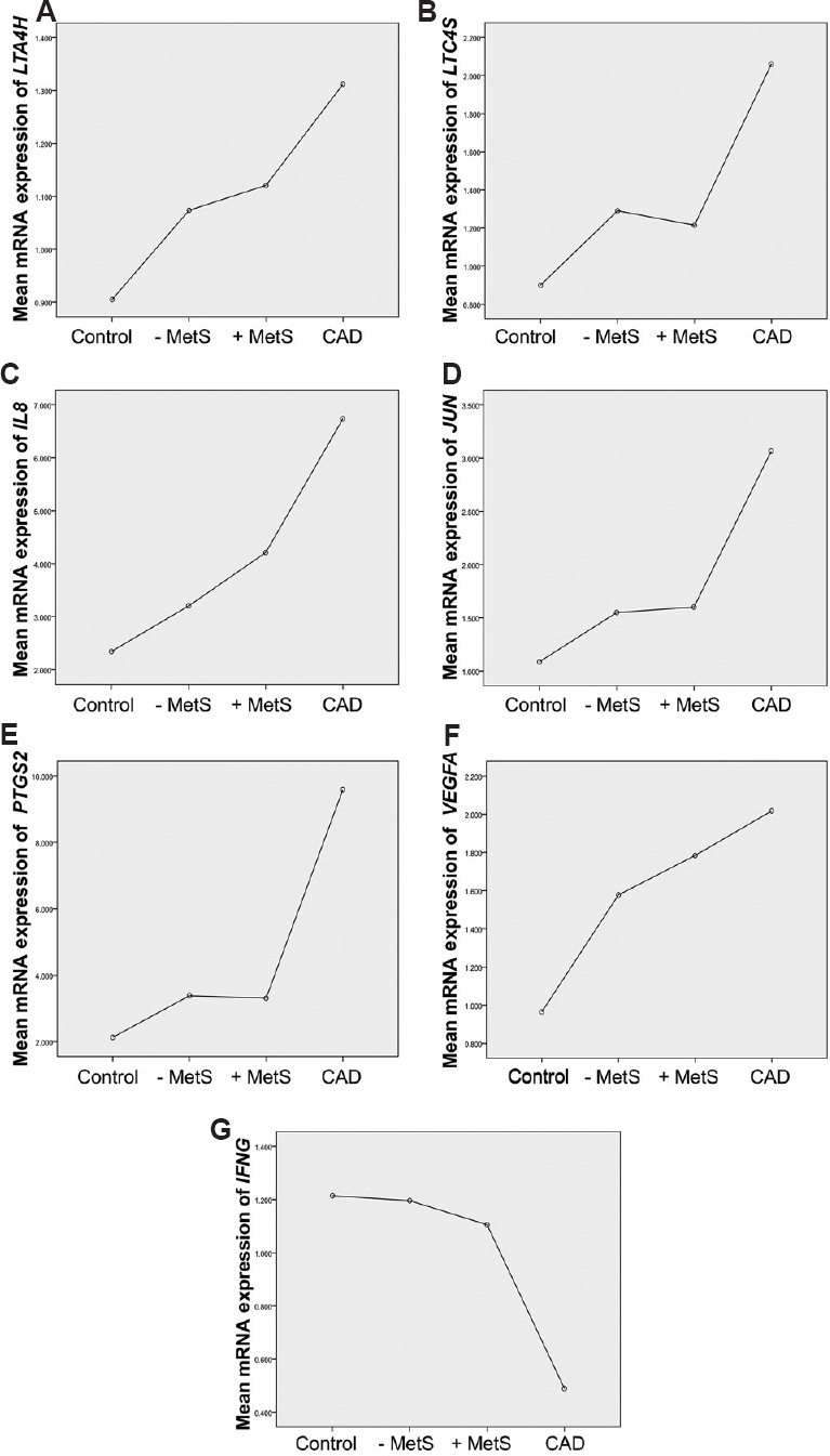 Linear trend of inflammatory biomarkers across the different group of study participants. Mean expression of leukotriene A4 hydrolase (LTA4H) (A), leukotriene C4 synthase (LTC4S) (B), interleukin-8 (IL8) (C), Jun proto-oncogene (JUN) (D), prostaglandin-endoperoxide synthase 2 (PTGS2) (E), vascular endothelial growth factor A (VEGFA) (F) and interferon gamma (IFNG) (G) across four groups i.e. controls, without metabolic syndrome (MetS−), with MetS (MetS+) and coronary artery disease (CAD).