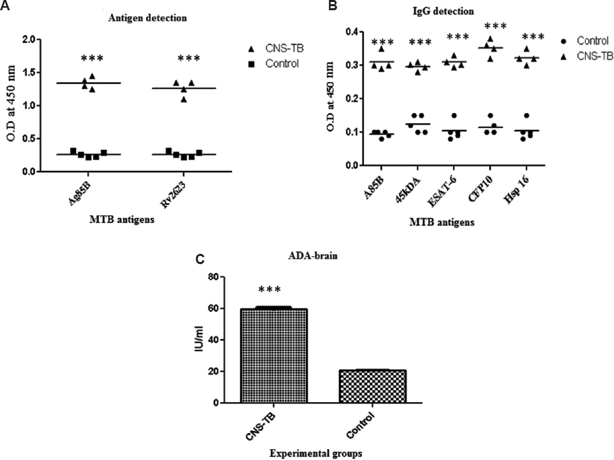Scatter plots of (A) antigen response (Ag85B, Rv2623), (B) IgG response against panel of Mycobacterium tuberculosis H37Rv antigens in brain homogenates (n=4 of BALB/c mice at 50 days post-infection. (C) Shows mean±SEM adenosine deaminase (ADA) (n=4) levels in brain homogenates of CNS-TB and control mice. ***P<0.001 compared to control.