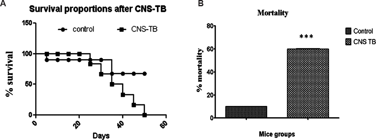 (A) Kaplan Meier survival analysis and (B) percentage mortality in control and CNS-TB infected mice. Mice infected with C3 strain showed reduced survival rates with progressively high mortality rates than control with progress in infection. ***P<0.001 compared to control.