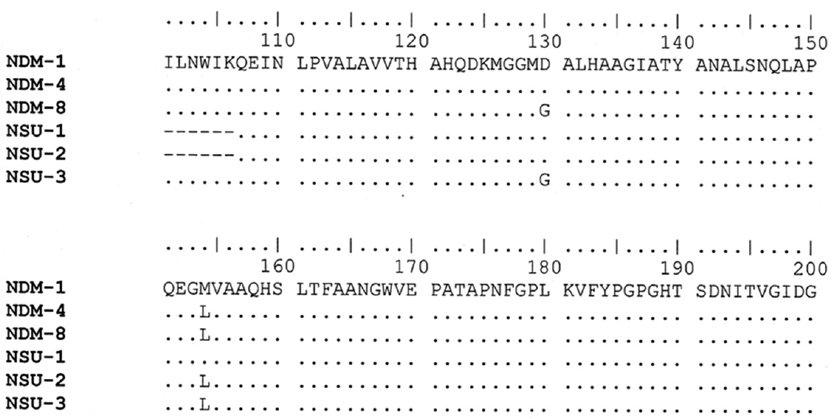 Molecular categorization of blaNDM gene: The Plot dot identities of the derived sequence from the study (NSU-1, 2 and 3) and published New Delhi metallo-ß-lactamase-4 (NDM-4) (Accession number: WP032492624) sequence, NDM-8 (Accession number: JQ 348841) sequence from the database against NDM-1 (Accession number: AHY37787).