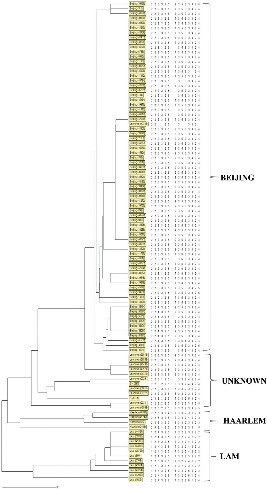 Dendrogram deduced from clustering analysis of 100 isolates. By using the 15 loci MIRU-VNTR typing (MIRU2, MIRU4, MIRU10, MIRU16, MIRU20, MIRU23, MIRU24, MIRU26, MIRU27, MIRU31, MIRU39, MIRU40, ETRA, ETRB, ETRC) revealed that 100 isolates were categorized into 36 genotypes and 10 clusters, 72 per cent (72/100) isolates belonged to Beijing family.