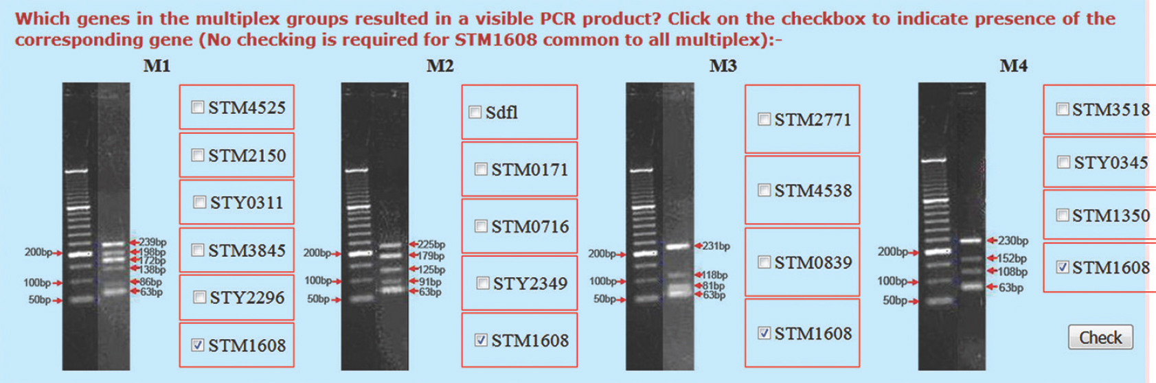 Screenshot of the data entry window in the multiplex PCR-based genome typing code server.