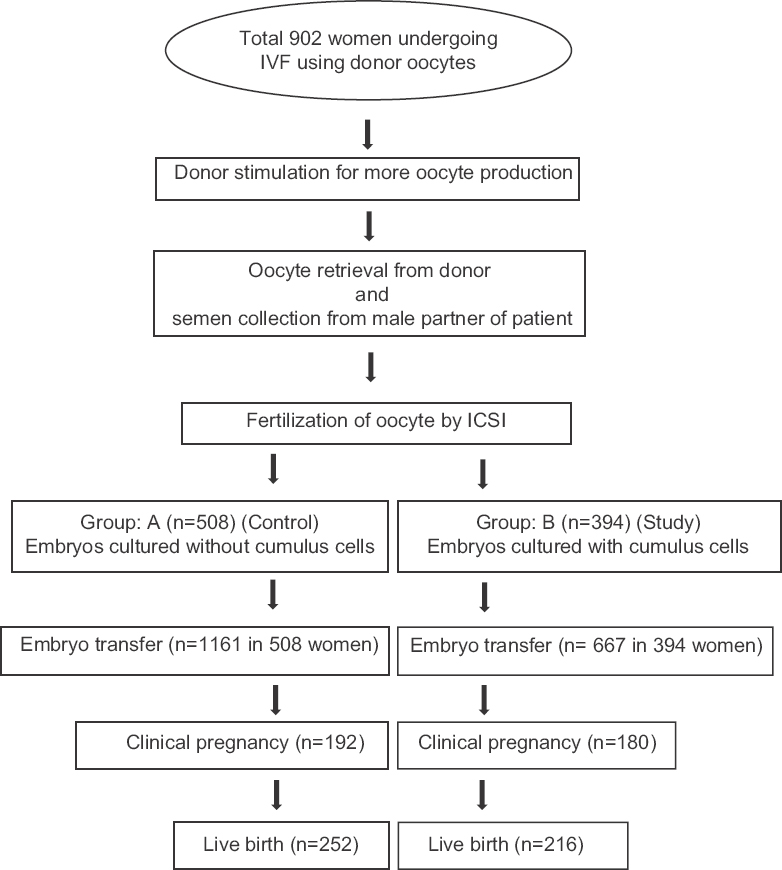 Flowchart of the study population. IVF, in vitro fertilization; ICSI, intra cytoplasmic sperm injection.