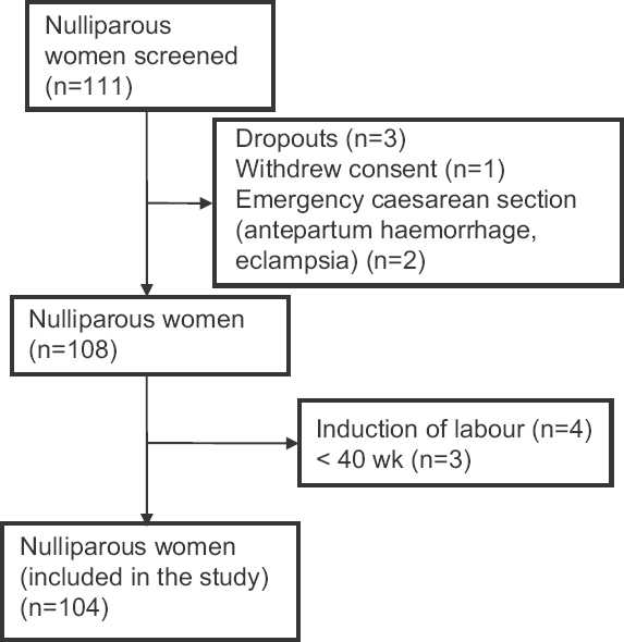 Flowchart depicting flow of study participants.
