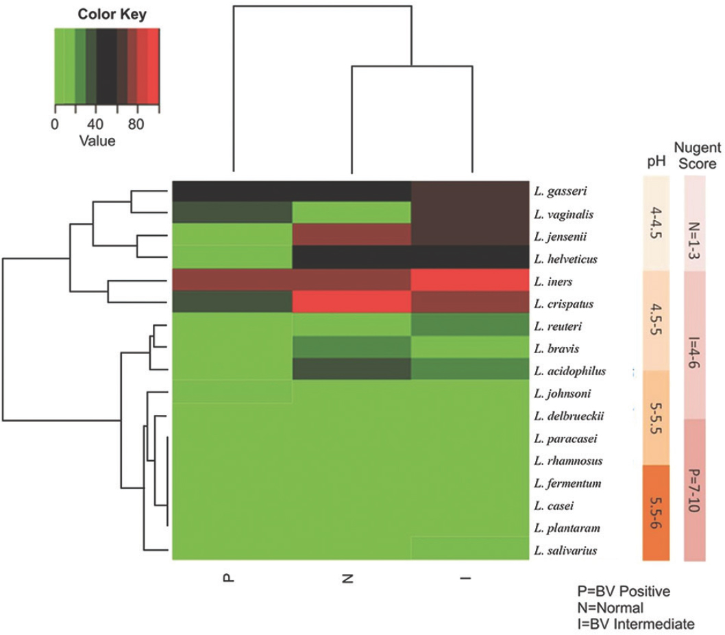 Heatmap shows proportions of microbial species found in the vaginal bacterial communities of 67 pregnant women. As the colour key indicates, light green colour represents the absence of the organisms, and the darker coloured tiles indicate the presence of percentage of that particular organism. Lactobacillus crispatus was the dominant flora in the normal and intermediate group and L. iners was the more frequent organism in the positive group. Nugent's score and pH bars are shown on the right side of the Figure. The Nugent's score increased with increasing pH.