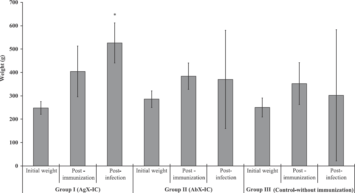 Mean±standard deviation (n=5) of body weight of guinea pigs. The group I antigen excess IC-immunized guinea pigs showed a sustained increase in body weight whereas group II immunized with antibody excess ICs stopped progressing. The control group showed a decline in body weight. Group I (antigen excess IC), guinea pigs immunized with antigen excess immune complex; Group II (antibody excess IC), guinea pigs immunized with antibody excess immune complex; Group III (control-without immunization), non-immunized control guinea pigs.*P<0.05 compared to Group III (Control without immunization).