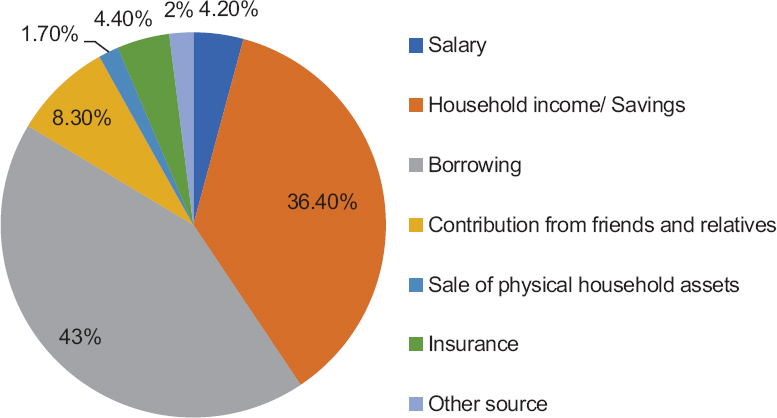 Coping strategies for out-of-pocket payments.