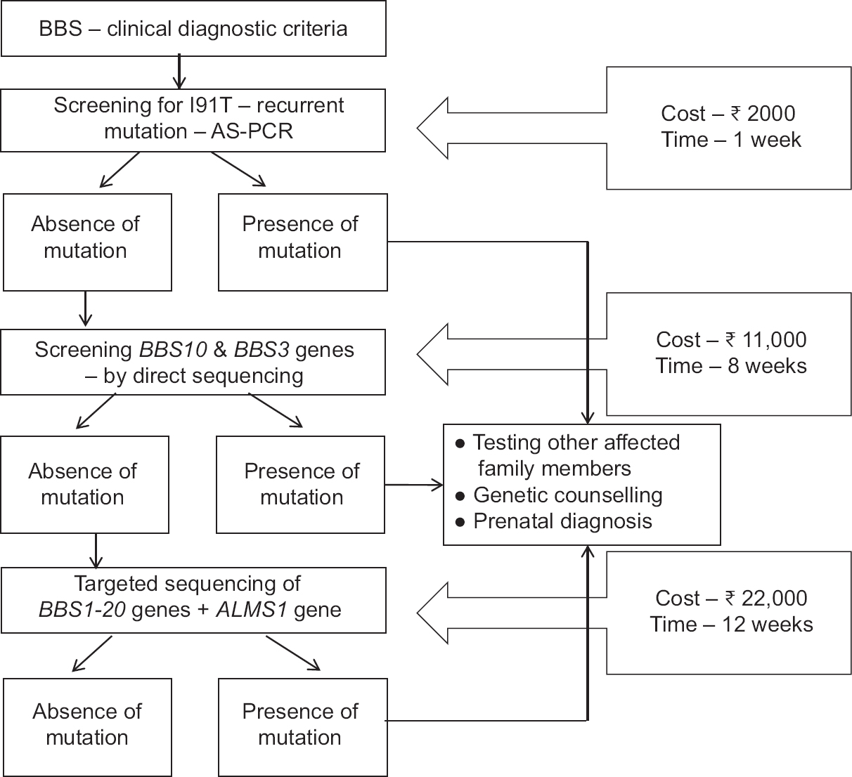 Strategy designed for Bardet–Biedl syndrome diagnosis in Indian Bardet–Biedl syndrome patients.