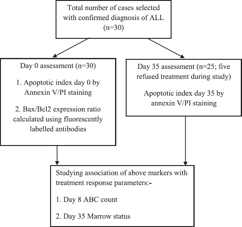 Flowchart showing the study design. ABC, absolute blast count; PI, propidium iodide; ALL, acute lymphoblastic leukaemia.