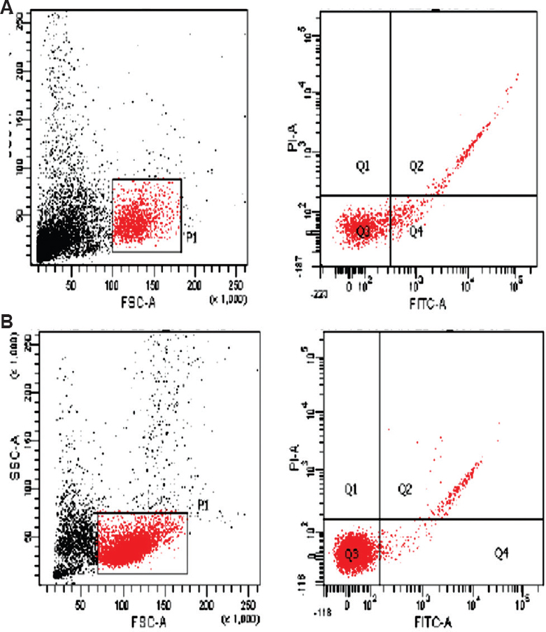 (A) High day 35 apoptosis index in a case (quadrant Q4-16.9%); (B) low day 0 apoptosis index in a case (quadrant Q4-1.6%).