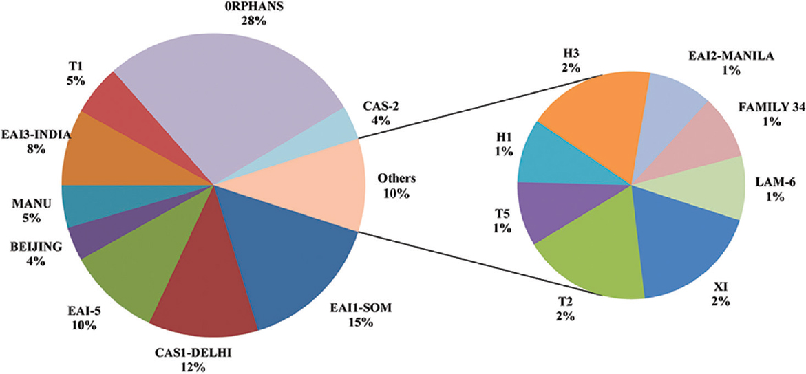 A pie chart showing the distribution of MTB clades prevalent in Udupi district on the basis of SITVIT WEB analysis.