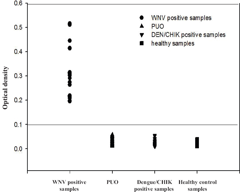 The optical density profile of different patient samples including healthy controls as obtained through the West Nile-specific loop-mediated isothermal amplification (RT-LAMP) assay. PUO, pyrexia of unknown origin; DEN, dengue; CHIK, chikungunya.
