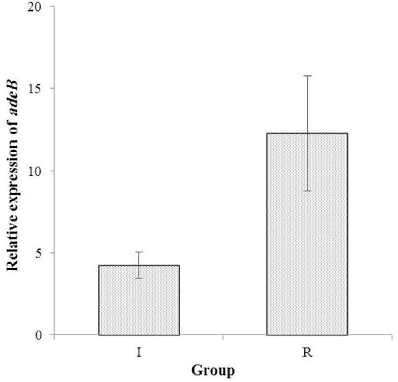 Expression of adeB mRNA transcripts as evaluated by real-time polymerase chain reaction. adeB expression in two ciprofloxacin-full resistant (R) and ciprofloxacin-intermediate (I) groups of Acinetobacter baumannii was compared relative to that in the reference ATCC 19606 strain. The error bars represent the standard deviation for the average of results from three independent experiments.