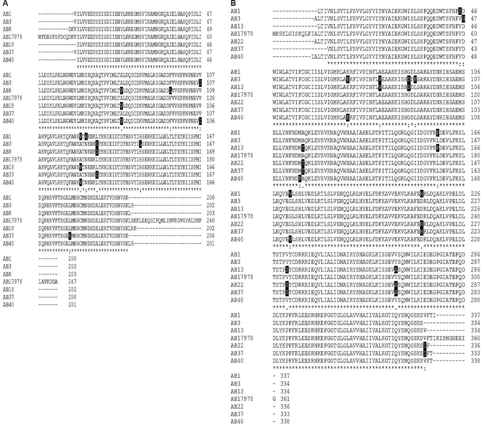 Multiple-sequence alignment of AdeR (A) and AdeS (B) from Acinetobacter baumannii ATCC 17978 and clinical isolates. Sequence alignment was generated using ClustalW2 software program. The deduced amino acid sequence is designated in a single letter code. Asterisks indicate identical residues, colons indicate strongly similar residues and dots indicate weakly similar residues. Amino acid substitutions in AdeS and AdeR were highlighted in black. Some mutations leading to constitutive expression of AdeABC pump in clinical isolates such as A91V, A136V and L192R in AdeR and A94V, G103D and G186V in AdeS are indicated.