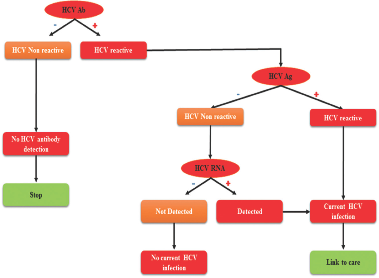 Algorithm for hepatitis C virus testing. Detection of HCV antibody (Ab) is done by laboratory assay. Further testing of HCV Ab positive samples will show either current or past HCV infection or false HCV antibody positivity. Positive samples should be tested by nucleic acid-based testing (NAT), as positive indicates current HCV infection and negative indicates either past or resolved HCV infection, or false Ab positivity. Modified and reproduced from Ref 71.