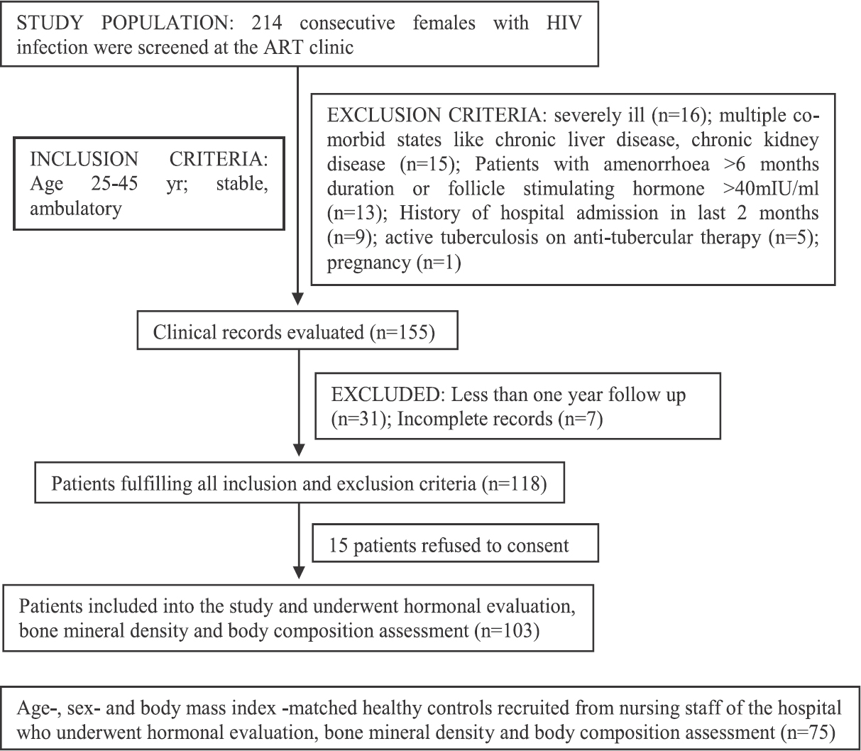 Flowchart elaborating the study protocol.