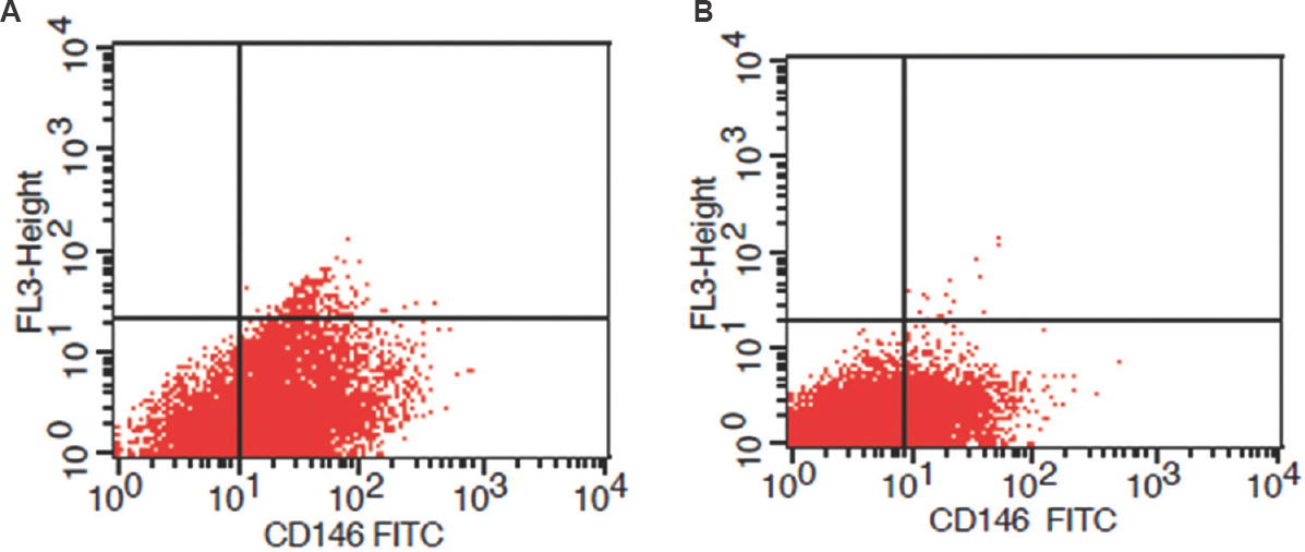 Representative scatter plot showing flow cytometric expression of CD146 in cultured endometrial stromal cells of fertile group (A) and infertile group (B).