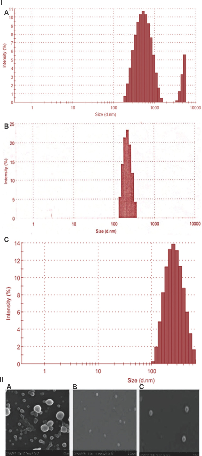 (i) Particle size distribution of poly (DL-lactide-co-glycolide) nanoparticles encapsulating (A) rifabutin, (B) azithromycin and (C) ethambutol. (ii) Scanning electron micrograph of poly (DL-lactide-co-glycolide) nanoparticles encapsulating (A) rifabutin, (B) azithromycin, (C) ethambutol.