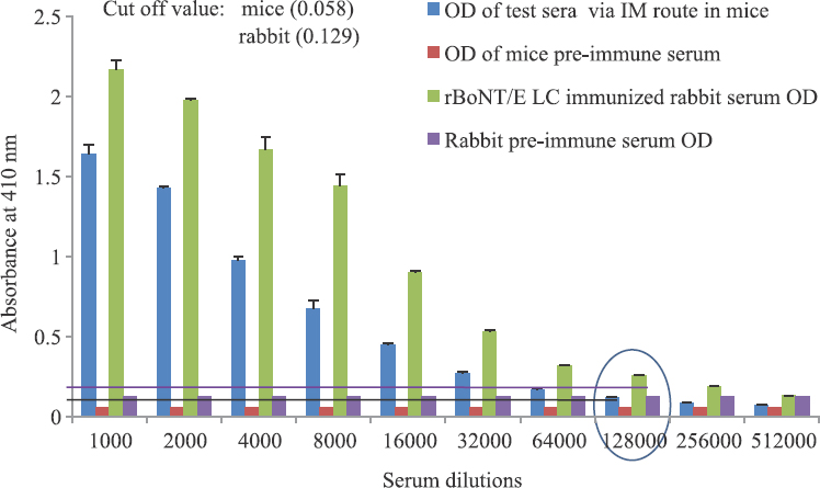 Antibody titre raised against rBoNT/E light chain-soluble protein in mice (intramuscular route) and rabbit (intramuscular route). Optical density values represented are mean±standard deviation of triplicate determinations. Circle indicates antibody titre raised up to a serum dilution of 1:128000 in both mice and rabbit.