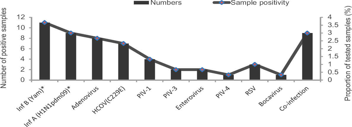 Frequency of respiratory pathogens detected in pilgrims returning from Hajj/Umrah (2014-2015). *Denotes data reported previously for these viruses10. HCOV, human coronavirus; PIV, para influenza virus; RSV, respiratory synctial virus; Inf, influenza virus.