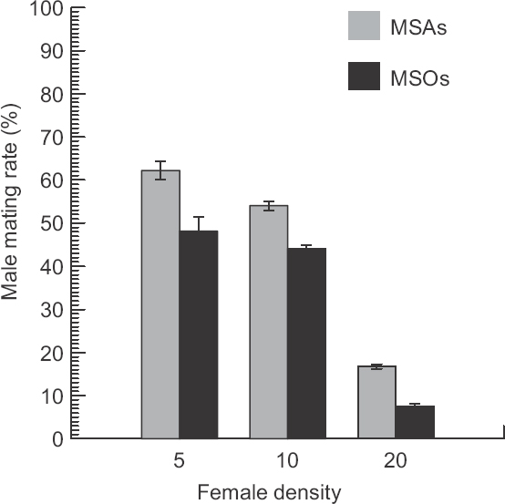 Mating success. Mean (±standard error) of successful inseminations of Aedes aegypti females under three different densities (5, 10, and 20) by males fed sugar solution only (MSO) and those fed sugar+ Eurycoma longifolia extract (MSA).