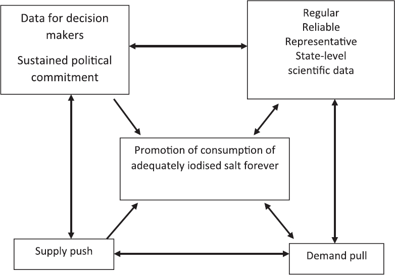 The multi-component model for Iodine Deficiency Disorder Control Programme. Source: Ref. 20.
