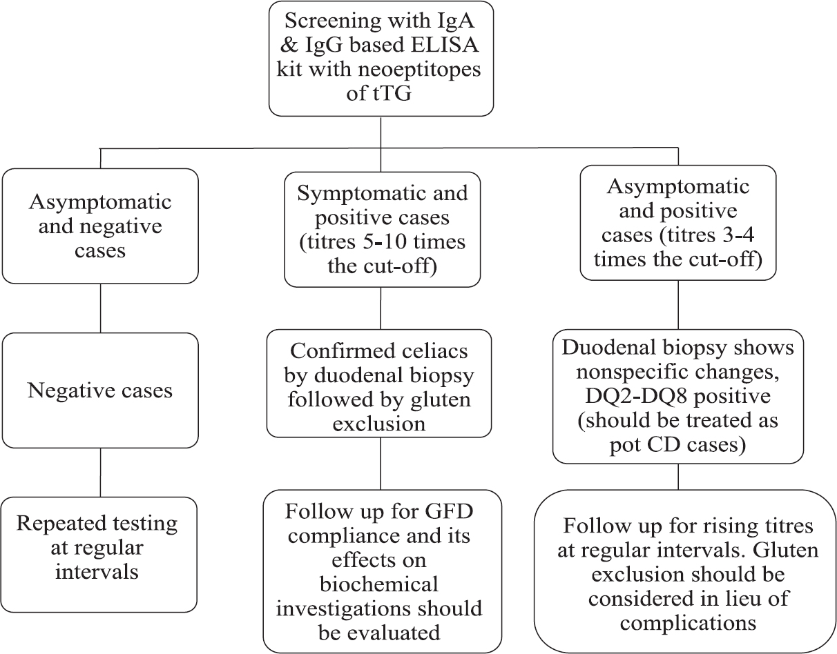 Screening algorithm for celiac disease in high-risk group of type 1 diabetes patients. tTG, tissue transglutaminase; CD, celiac disease; GFD, gluten free diet.