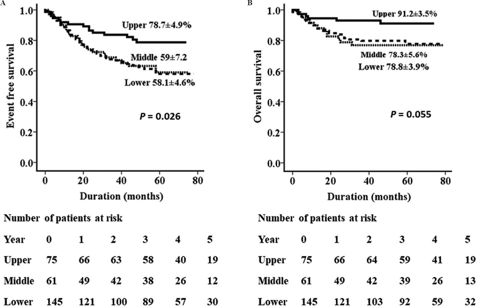Black line: Upper socio-economic status, dotted line: Middle socio-economic status, dashed line: Lower socio-economic status. (A and B) Illustrate the event-free survival and overall survival for the patients who achieved remission after completing induction therapy. Tables below the figures illustrate the number of patients at the end of each year who are at risk for events.