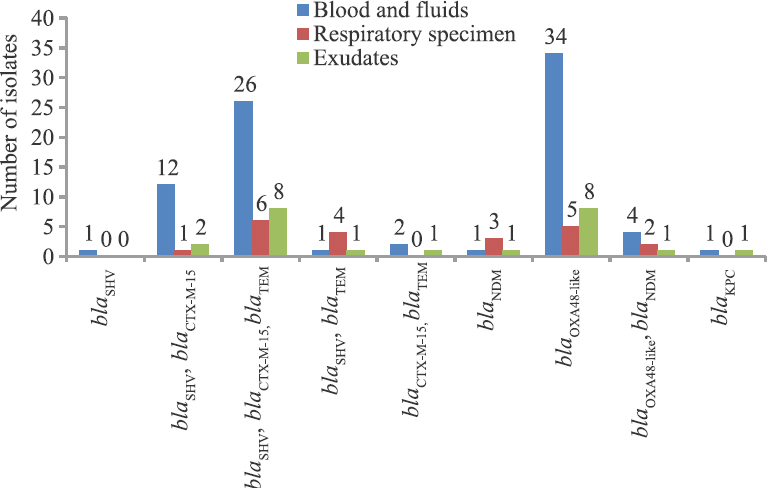 Distribution of β-lactamases in colistin-resistant Klebsiella pneumoniae among various clinical specimens.