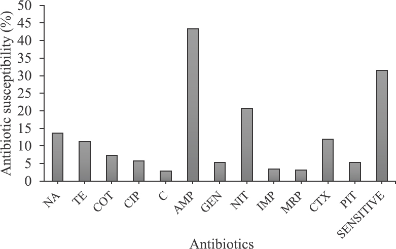 Antibiotic resistance pattern of all isolates against 12 different antibiotics used in the study. NA, nalidixic acid; TE, tetracycline; COT, co-trimoxazole; CIP, ciprofloxacin; C, chloramphenicol; AMP, ampicillin; GEN, gentamicin; NIT, nitrofurantoin; MRP, meropenem; CTX, cefotaxime; PIT, piperacillin/tazobactum.