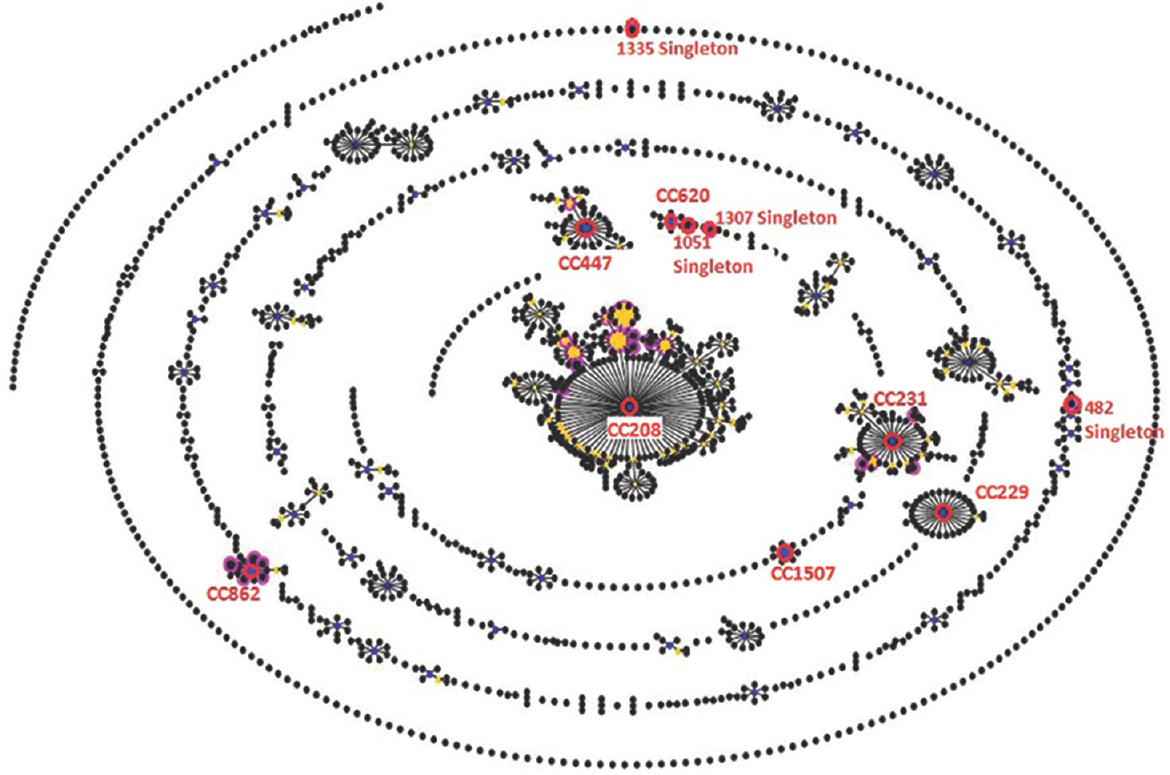 e-BURST analysis showing clonal complexes and singletons of 34 sequence types of carbapenem-resistant Acinetobacter baumannii. Each circle signifies the sequence type. The size of each circle represents to different number of isolates, with larger sizes corresponding to higher frequency of occurrence.