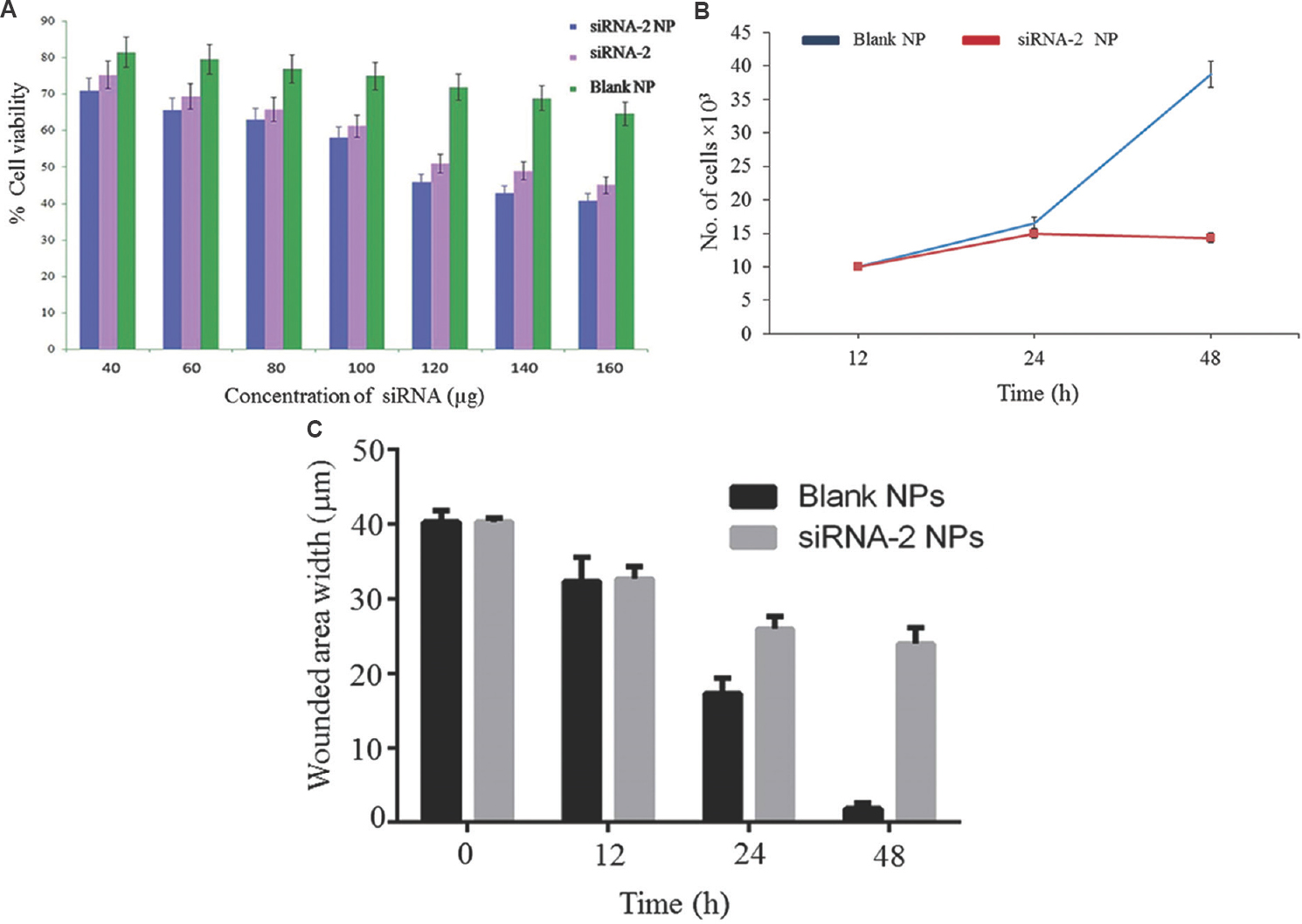 (A) In vitro cytotoxicity of the siRNA-2 loaded chitosan coated poly-lactic-co-glycolic acid of different concentration on HeLa cells as measured by MTT [3-(4,5-Dimethylthiazol-2-yl)-2,5-diphenyltetrazolium bromide] assay for cell viability. Cytotoxicity effect of chitosan-coated siRNA-2-loaded polylactic-co-glycolic acid (PLGA) nanoparticles (NP), naked siRNA-2, chitosan-coated PLGA nanoparticles (blank) in HeLa cells. The data describe the means ±SD of five independent experiments; (B) cell proliferation assay; (C) cell migration assay.