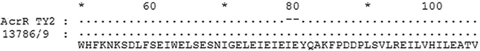 Protein sequence alignment for acrR of 13876/9 with control sequence from TY2 showing insertion of two amino acids I and E at 78 position relative to first codon of the acrR gene.