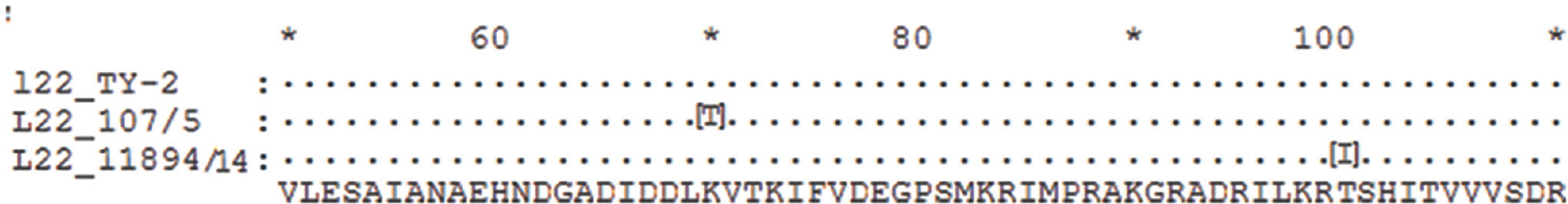 Protein sequence alignment of rplV from mutant strains 107/5 and 11894/14 with control sequence from TY2, showing the amino acid changes at K70 to T and T100 to I.