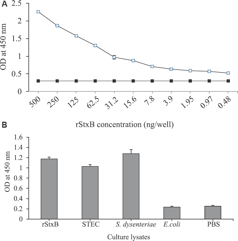 (A) Sandwich ELISA showing limit of detection of recombinant Shiga toxin B (rStxB) using rabbit and mouse antiserum used for capture and revealing, respectively. Graph represents concentration (ng/ml) of rStxB (hollow rectangular) and negative control (solid rectangular). Cut-off value was 0.3. (B) Sandwich ELISA for detection of Shiga toxin from culture lysates. Graph represents reactivity of recombinant Shiga toxin B antiserum with rStxB, Shiga like toxin producing Escherichia coli (E. coli )(STEC), Shigella dysenteriae type 1, E. coli (SG12009) and Phosphate buffered saline (PBS).