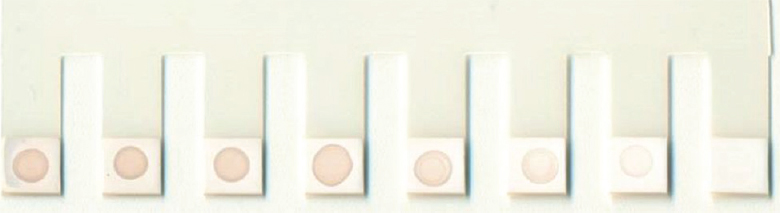 Dot-ELISA for limit of detection of recombinant Shiga toxin B. Each well showing two-fold serially diluted concentration of recombinant Shiga toxin B from 125 to 1.95 ng/well; last well is negative control.