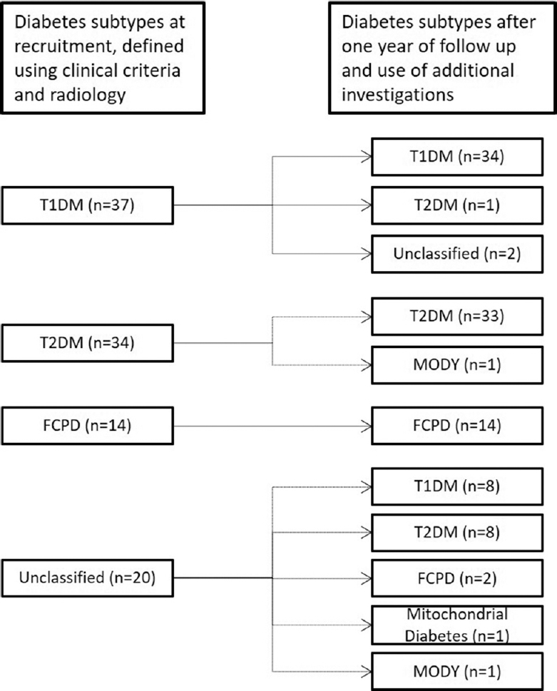 Etiological subtypes of diabetes at recruitment and final follow up. Subtypes were defined using clinical criteria and abdominal imaging at initial visit and after one year of follow up and additional investigations i.e. fasting plasma C-peptide, islet antibodies and genetic testing. T1DM, type 1 diabetes mellitus; T2DM, type 2 diabetes mellitus; FCPD, fibrocalculous pancreatic diabetes; MODY, maturity-onset diabetes of the young.