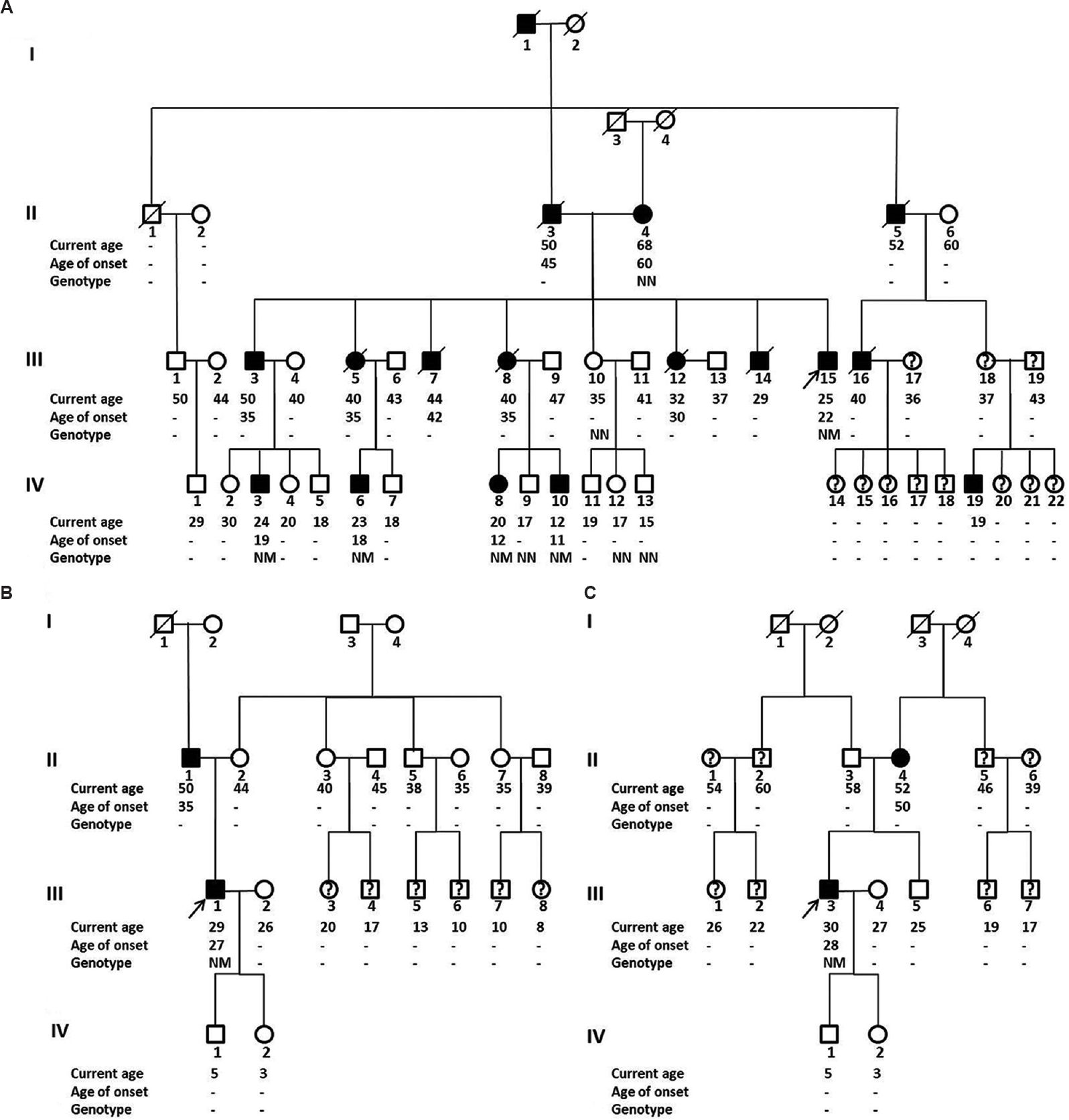 Family pedigree of patients with MODY and mitochondrial diabetes. Family pedigree of patients with MODY (A: HNF1A mutations and B: PDX1 mutation) and mitochondrial diabetes (C). Filled squares and circles, diabetes; open squares and circles, normal glucose tolerance; squares and circles with a question mark, not tested for diabetes. N denotes wild-type allele, and M denotes mutations (A, both p.R263H and p.H577D mutations; B, p.P101L mutation; C, mitochondrial A3243G mutation). Age of patient and age at onset of diabetes in years is written below each symbol. Proband is depicted with an arrow. MODY, maturity-onset diabetes in the young.