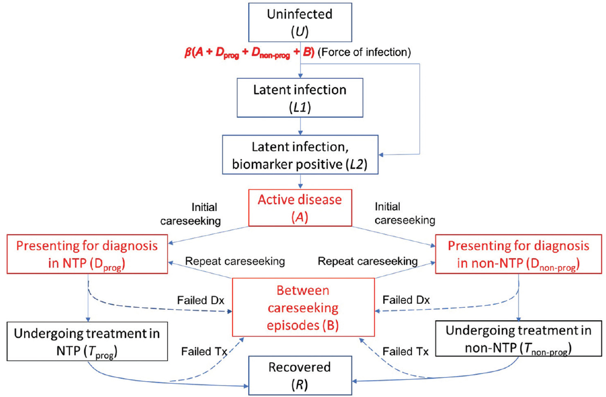 Illustration of the basic model structure, replicated by HIV, drug resistance and risk-group status. Compartments in red denote states that are infectious. The NTP (national TB programme) (left-hand side) sector is distinguished from the non-NTP sector (right-hand side). Among latent infection, it is assumed that those who are most at risk of developing disease within the next two years are detectable using a hypothetical, future diagnostic test. Not shown on this figure for clarity, the model also incorporates tuberculosis mortality, as well as recurrent tuberculosis (the latter including relapse of an existing infection, and exogenous reinfection).