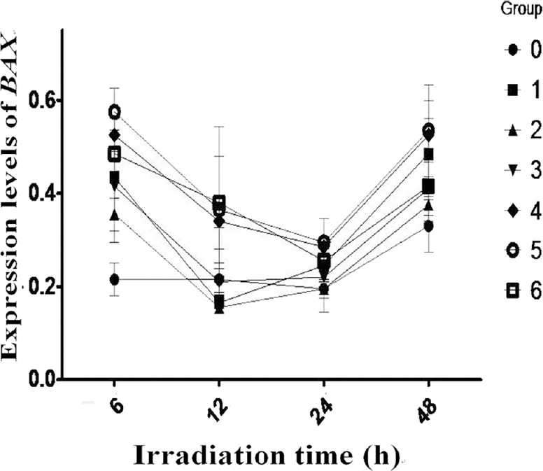 Expression of Bcl-2 associated BAX protien in all treatment groups decreased gradually from 6 to 24 h and decreased more obviously in groups 4-6 than others. However it increased more obviously in groups 4-6 at 48 h. Values are mean±SD of three observations.