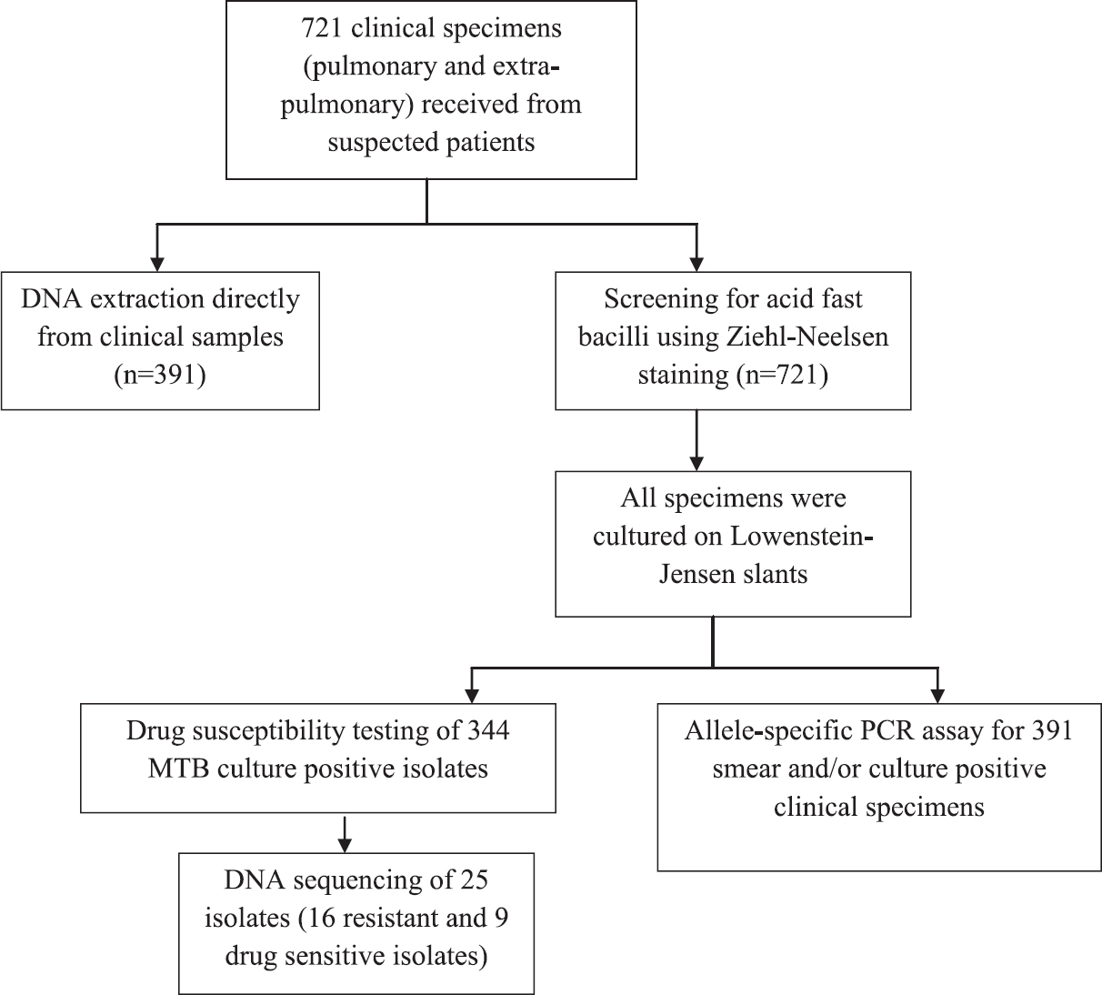 Flowchart showing available nested multiplex polymerase chain reaction assay, drug susceptibility testing, allele-specific polymerase chain reaction assays and sequencing. MTB, Mycobacterium tuberculosis.
