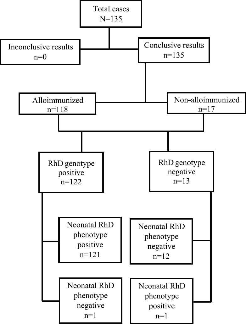 Summary of the results of non-invasive foetal RHD genotyping in maternal plasma using cell-free foetal DNA.