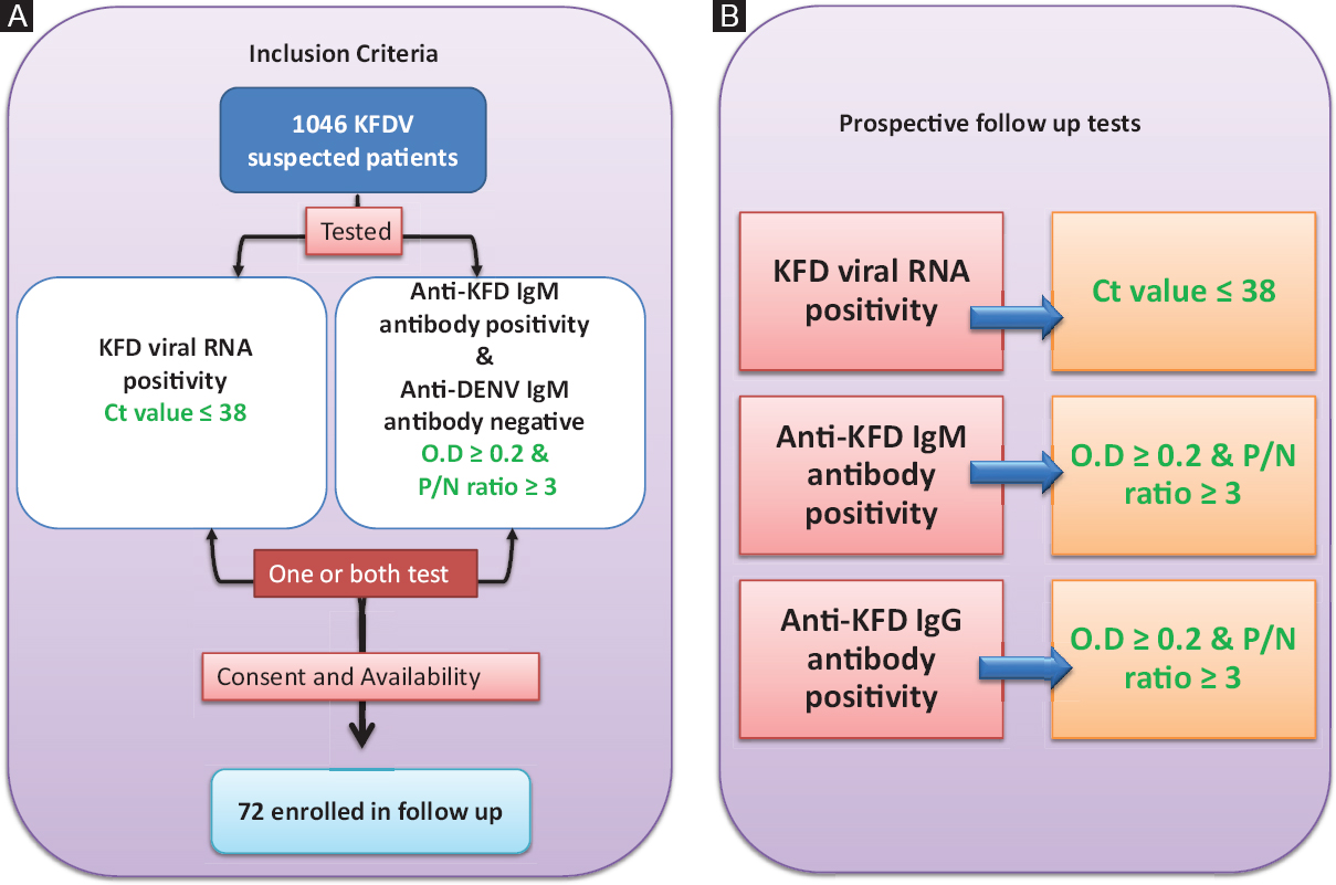 Overview of the study design: (A) Inclusion criteria used to select follow up patients. (B) Prospective follow up analysis of 72 patients in the study. Green colour texts are the outcome of the study. KFDV, Kyasanur forest disease virus; Ig, immunoglobulin; Ct, cyclic threshold; OD, optical density; P/N, Positive/Negative ratio.