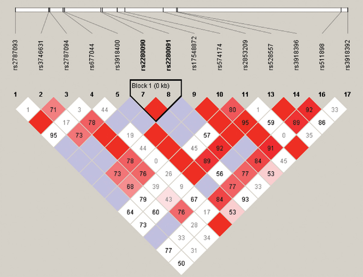Haplotype blocks showing association between asthma and ADAM33 polymorphisms rs2280090 and rs2280091. The two SNPs are 29 bp apart from each other with a LOD score of 20.48.
