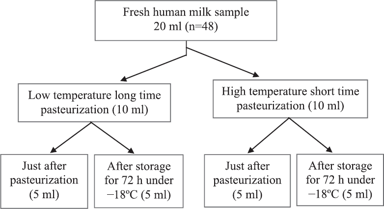 Flow chart showing study methodology.