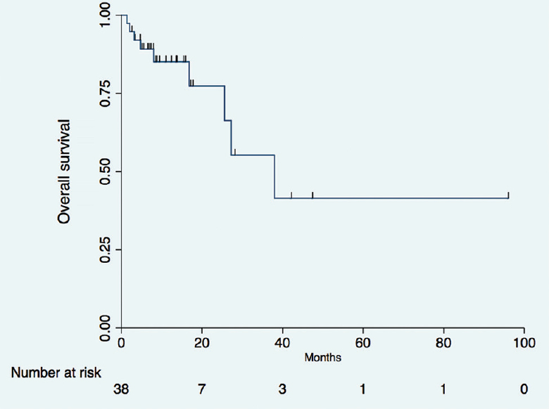 Overall survival of patients who received oral metronomic therapy.