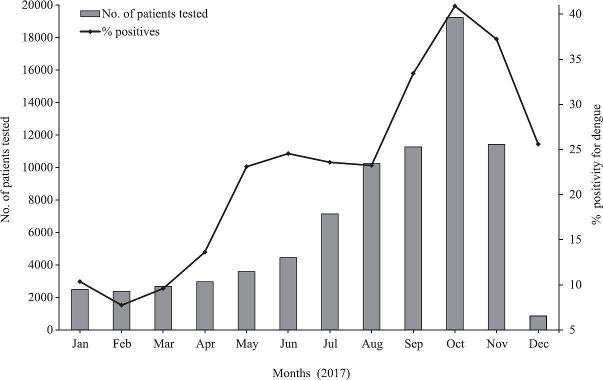 Number of patients tested for dengue virus per month and percentage of positive tests.