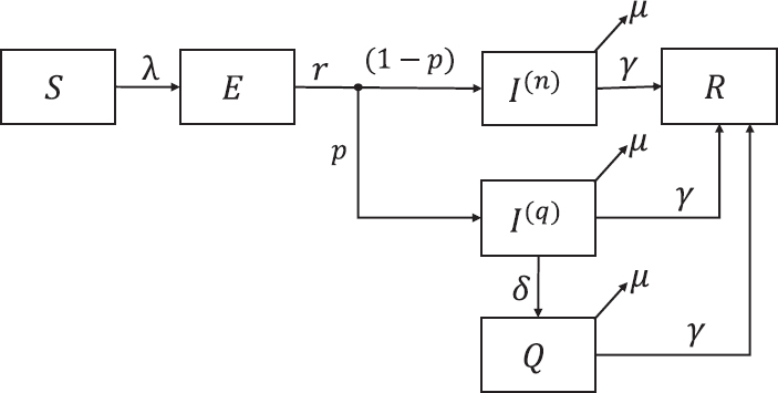 Summary of the model structure used to represent coronavirus disease 2019 transmission and control in Indian cities. The population in each metropolitan area is divided into different compartments, representing states of disease, with flows between compartments given by the rates shown in the diagram. Thus, susceptible individuals (S), upon acquiring infection, enter a state of asymptomatic infection (E) and with some delay develop symptomatic disease (I). It is assumed that a proportion p of symptomatic cases is subject to quarantine [I(q)] and the remainder [I(n)] is not. The relative size of these two populations (p) reflects the coverage of quarantine efforts. Individuals in I(q) are quarantined with an average quarantine delay (1/δ). Finally, individuals may be cured (R) or die as per recovery rate (γ) or mortality rate (μ), respectively. Those people who are successfully quarantined (Q) do not contribute to onward infection.