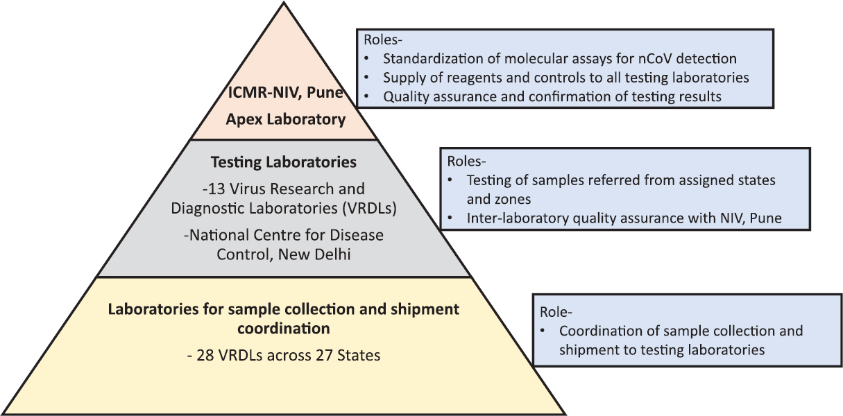 Organization of laboratories for severe acute respiratory syndrome coronavirus 2 diagnosis in India and their respective roles.