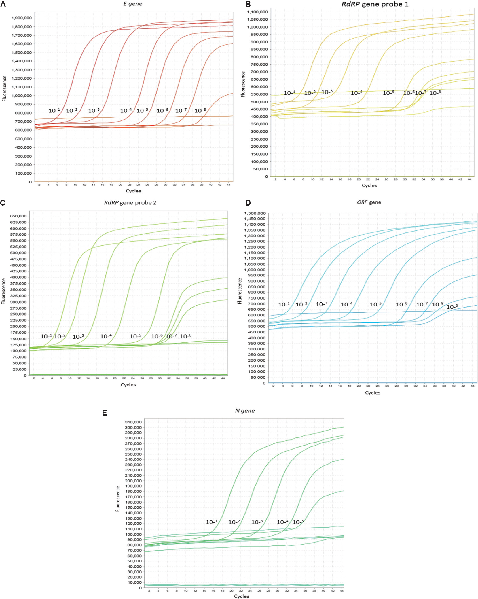 (A-E) Multicomponent amplification graph for 10-fold dilutions of in vitro transcribed RNA: (A) E gene, (B) RdRp gene probe 1, (C) RdRp gene probe 2, (D) ORF gene, (E) N gene. The X axis represents number of cycles and Y axis represents amount of fluorescence.